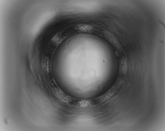 X0000100780762200806261629