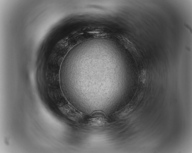 X0000100780763200806261629