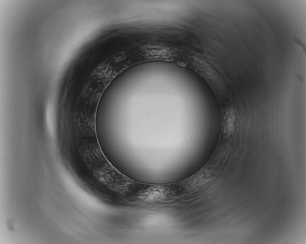 X0000100780764200806261629