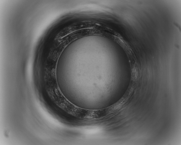 X0000100780765200806261629