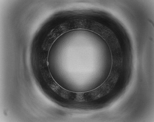 X0000100780766200806261629