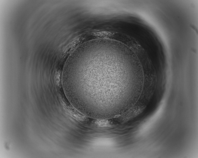 X0000100780767200806261629