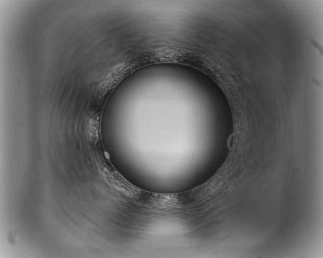 X0000100780768200806261629