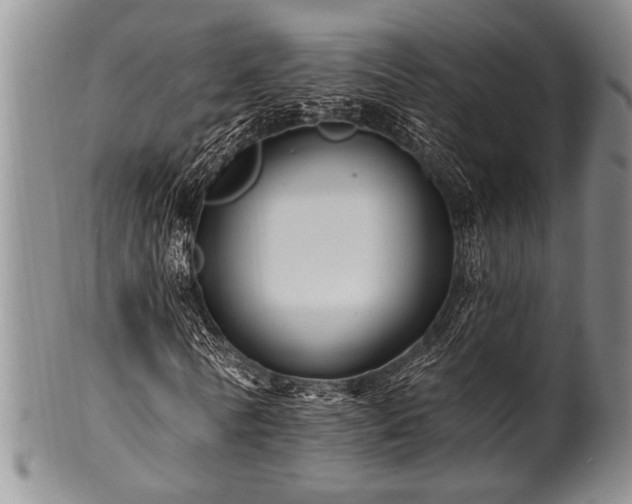 X0000100780770200806261628