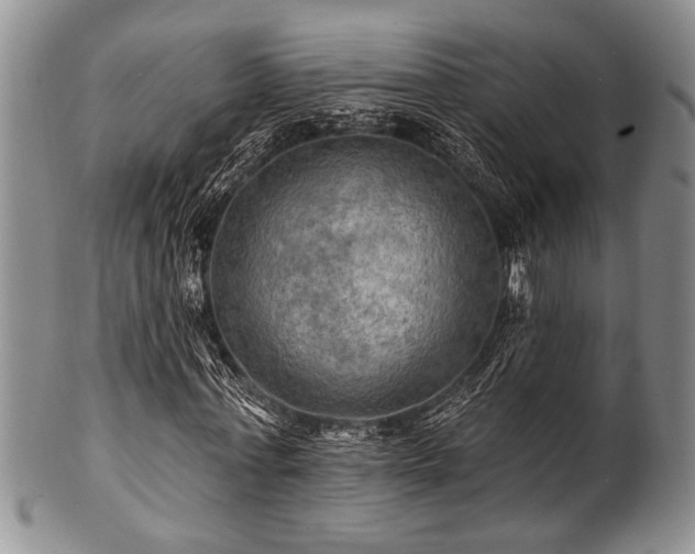 X0000100780771200806261628