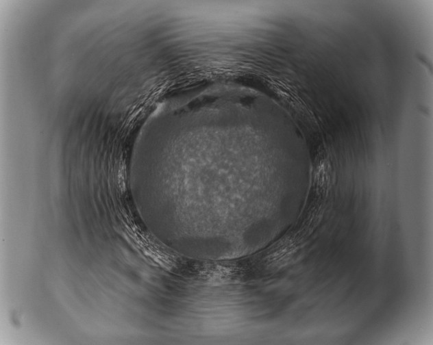 X0000100780772200806261628