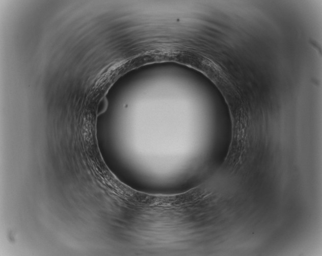 X0000100780773200806261628