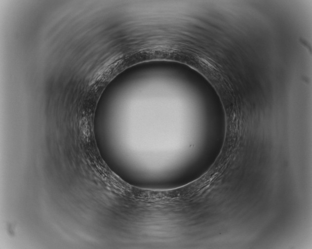 X0000100780774200806261628