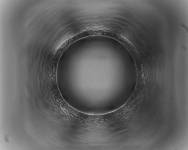 X0000100780775200806261628