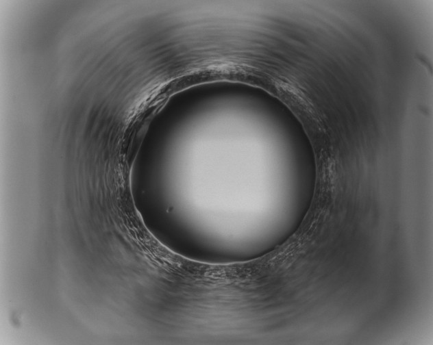 X0000100780776200806261628