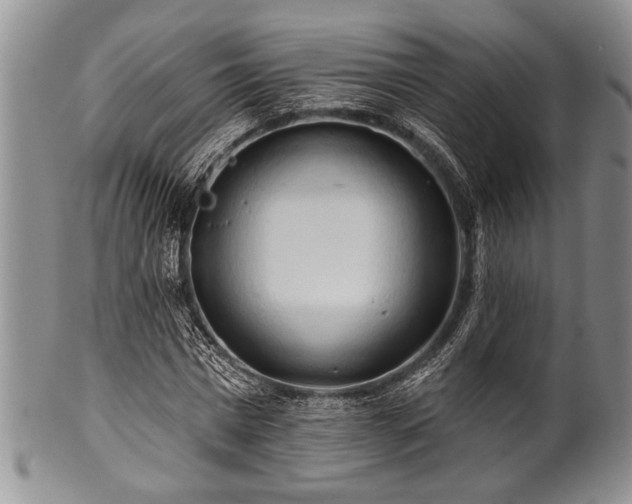 X0000100780777200806261628