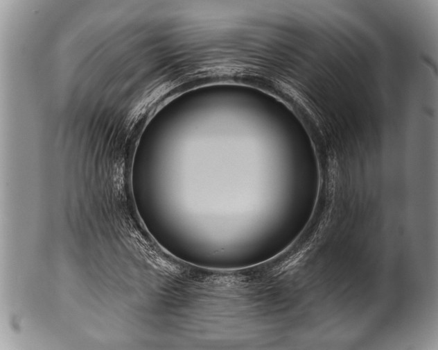 X0000100780778200806261628