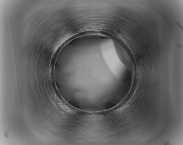 X0000100780779200806261628