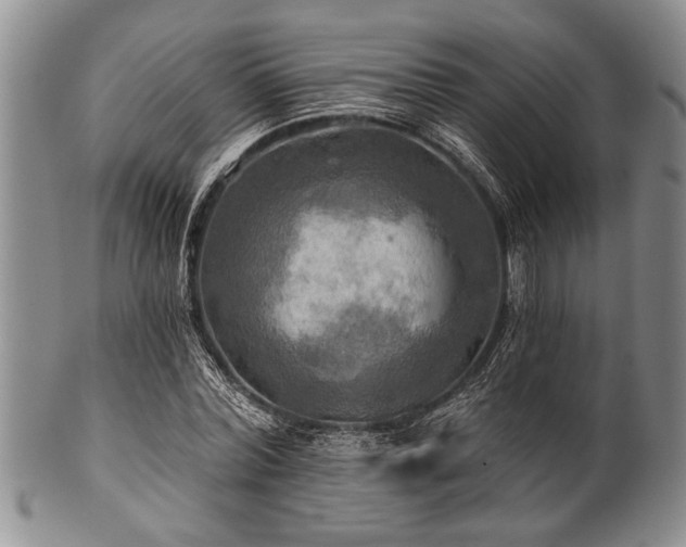 X0000100780780200806261628