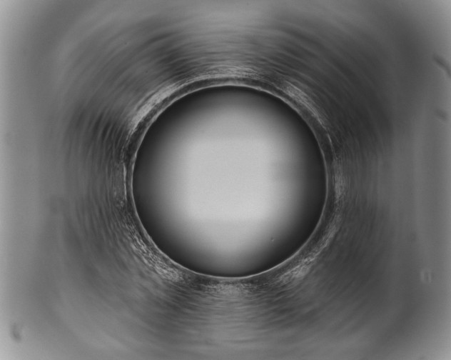 X0000100780781200806261628