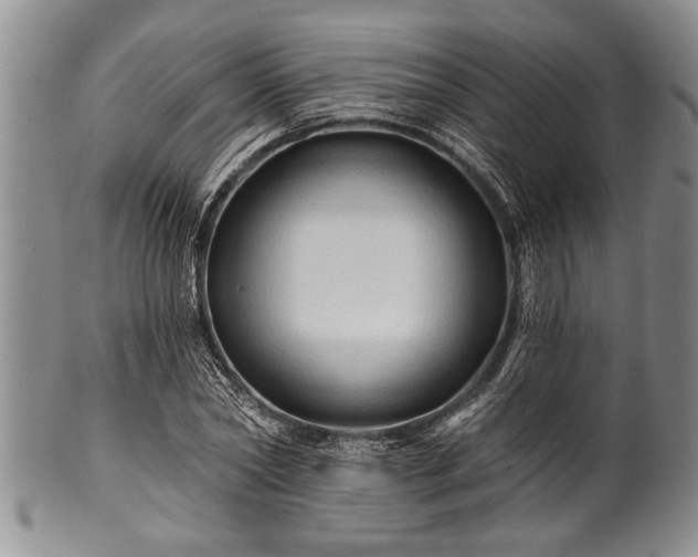 X0000100780782200806261628