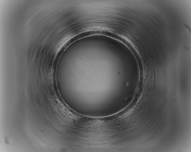 X0000100780783200806261628