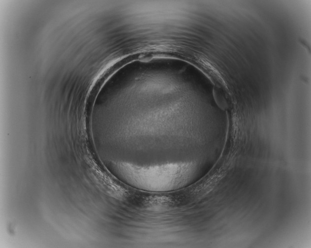 X0000100780784200806261628