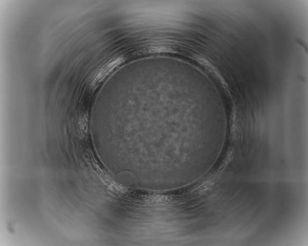 X0000100780785200806261628