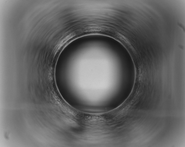 X0000100780786200806261628