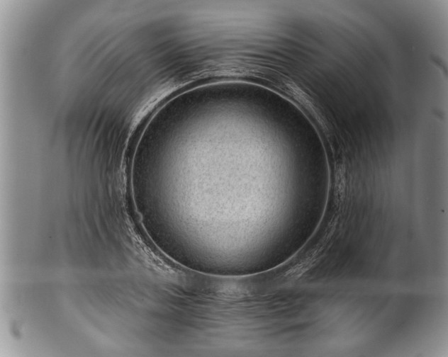 X0000100780787200806261628