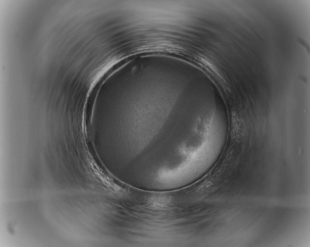 X0000100780788200806261628