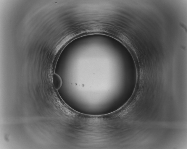 X0000100780789200806261628