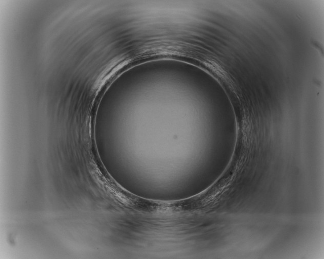 X0000100780790200806261628