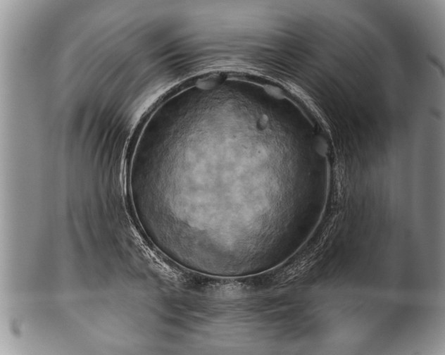 X0000100780791200806261628