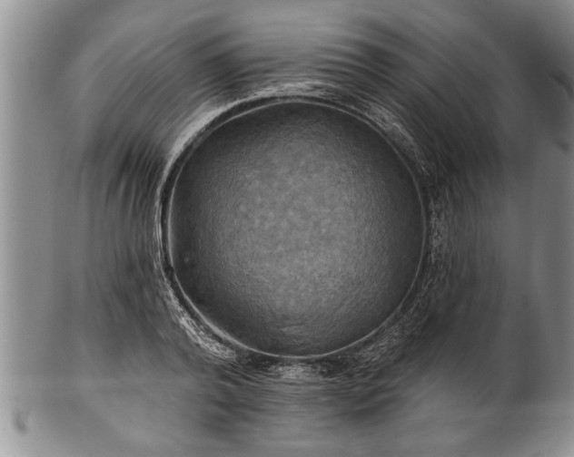 X0000100780792200806261628