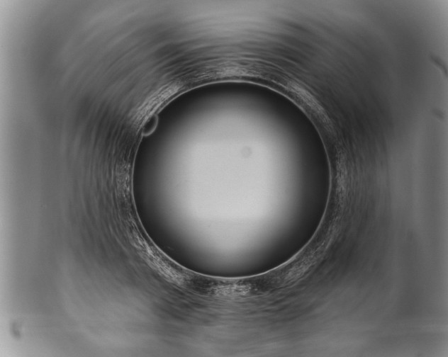 X0000100780793200806261628