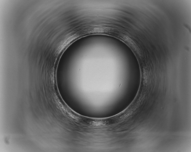 X0000100780794200806261628