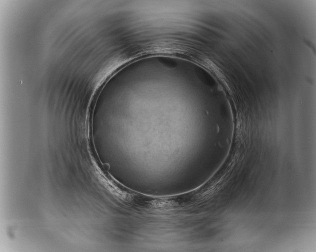 X0000100780795200806261628