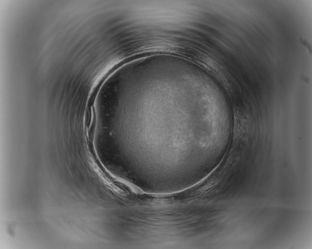 X0000100780796200806261628