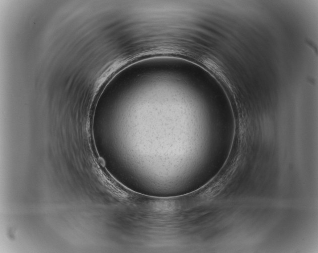 X0000100780797200806261628