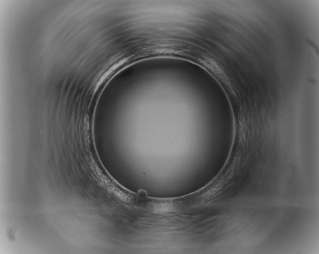 X0000100780798200806261628