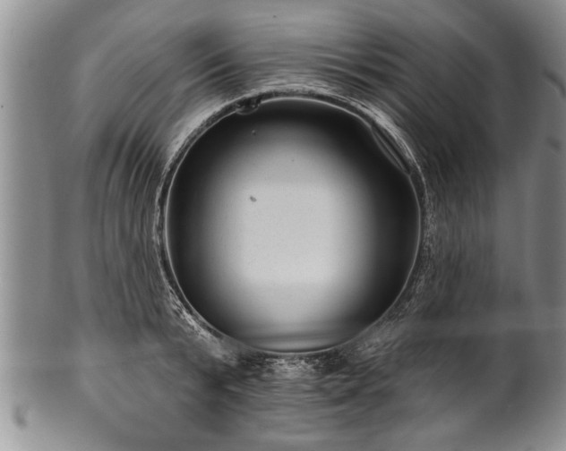 X0000100780799200806261628