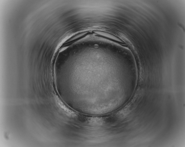 X0000100780800200806261628