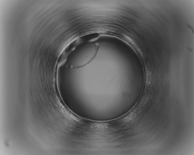 X0000100780802200806261628