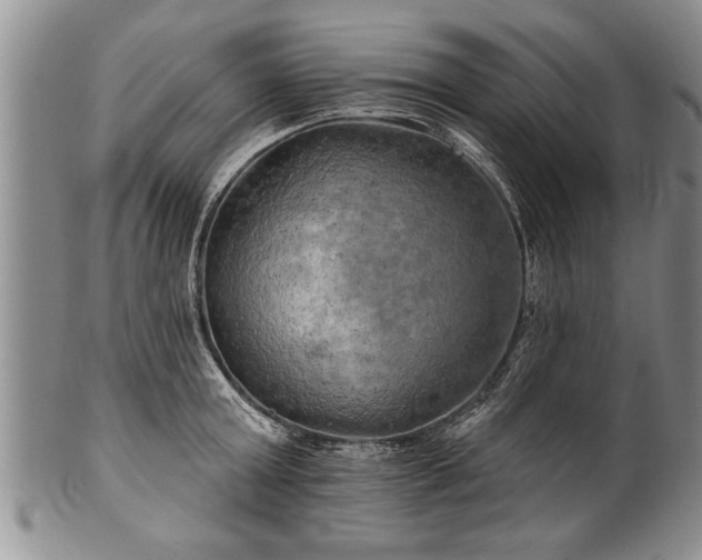 X0000100780803200806261628