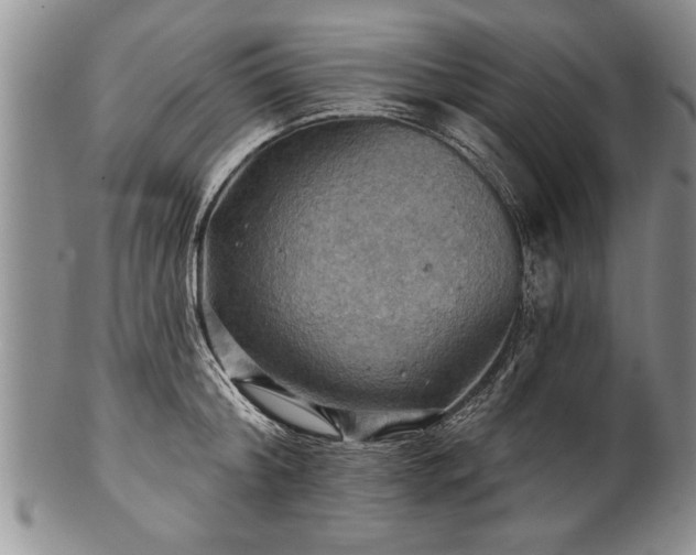 X0000100780804200806261628