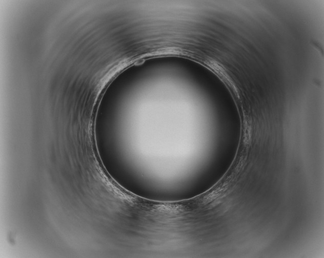 X0000100780805200806261628