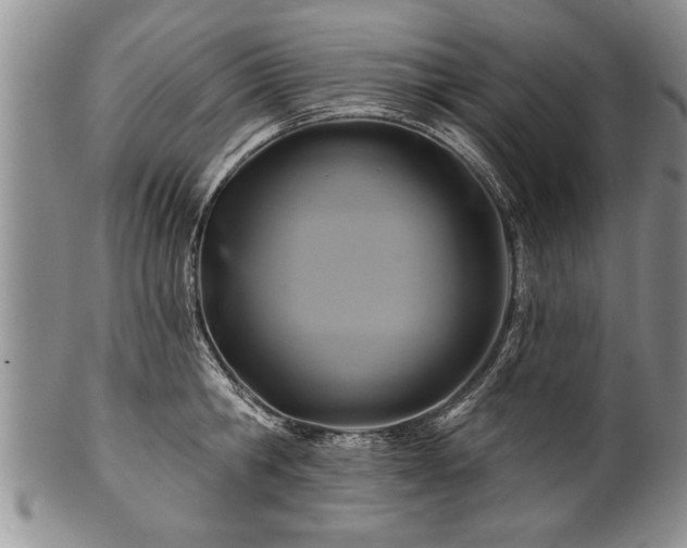 X0000100780806200806261628