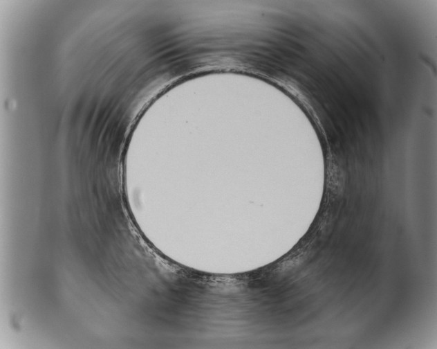 X0000100780807200806261628