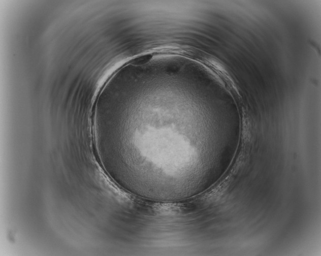 X0000100780808200806261628