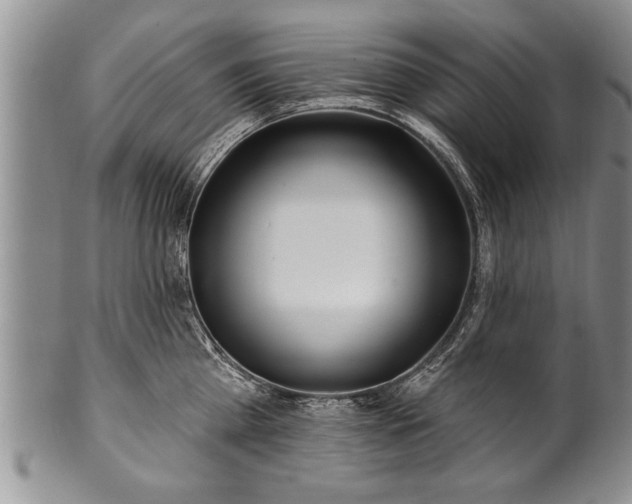 X0000100780809200806261628