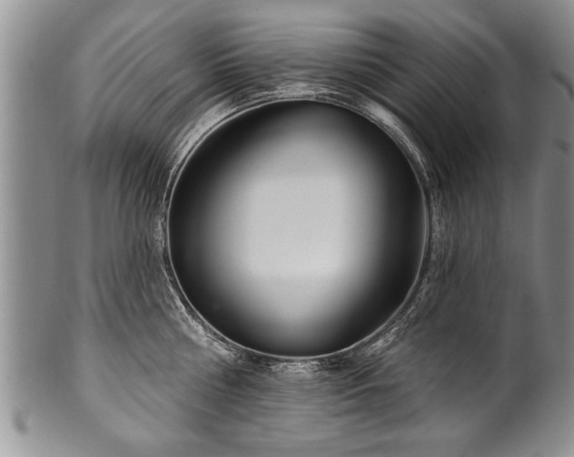 X0000100780810200806261628