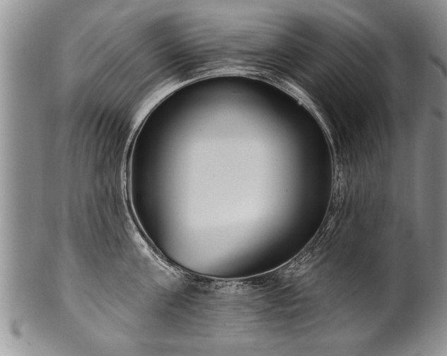 X0000100780811200806261628