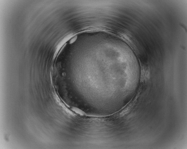 X0000100780812200806261628