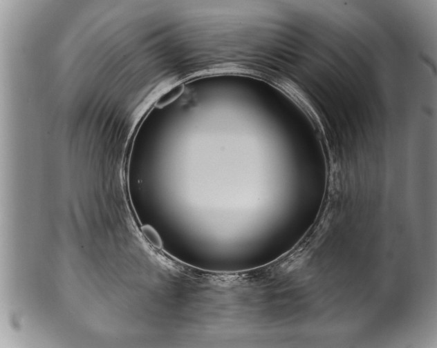 X0000100780813200806261628